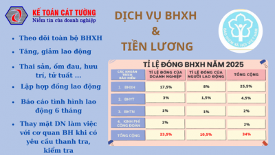 Dịch vụ Bảo Hiểm Và Tiền Lương